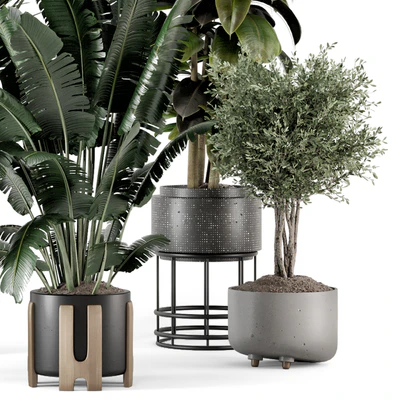 Indoor Plants in Ferm Living Bau Pot Large - Set 1351 — Вид 7