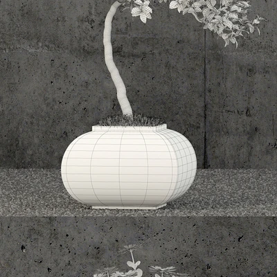 Plants collection 61 — Вид 3