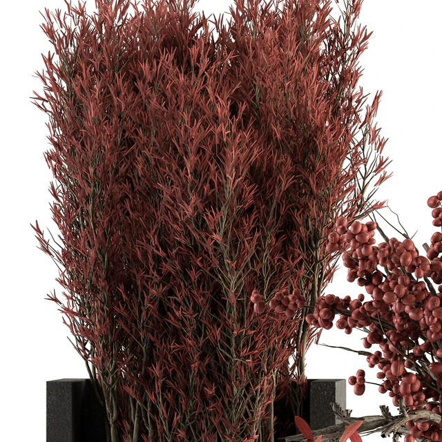 Bouquet 108 - Red Plants — Descargar