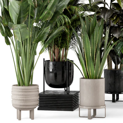 Indoor Plants in Ferm Living Bau Pot Large - Set 572 — Вид 7