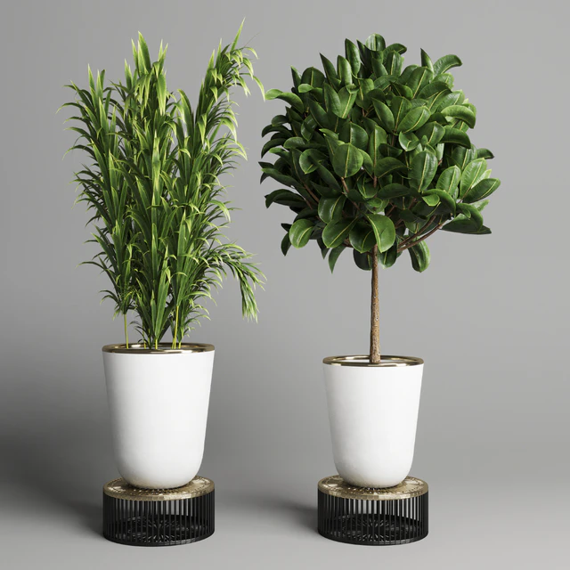 collection Indoor plant 35 -concrete vase — Скачать