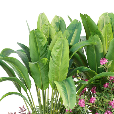 Outdoor Garden Plants Collection vol 136 — Вид 7