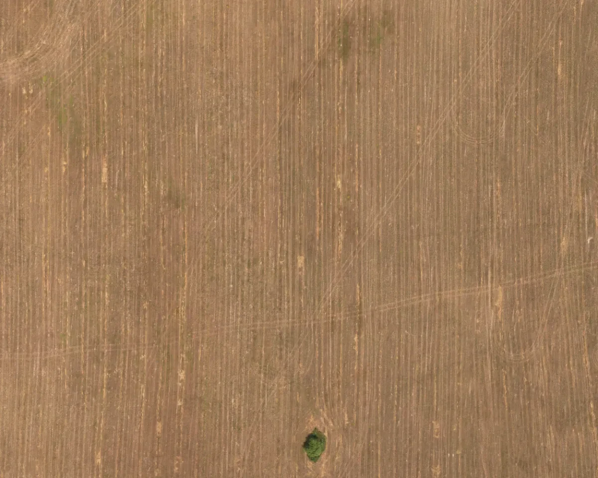 field summer 040 — Descargar