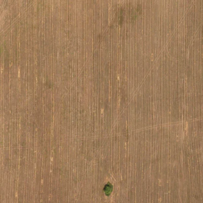 field summer 040 — Descargar