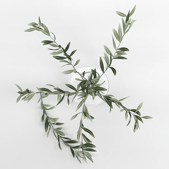 Bouquet 19 — Descargar