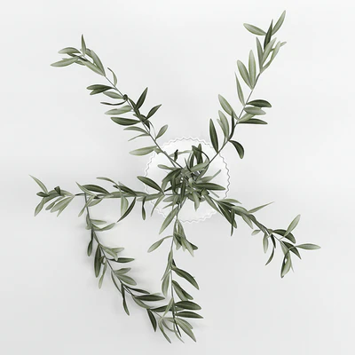 Bouquet 19 — Ver 5