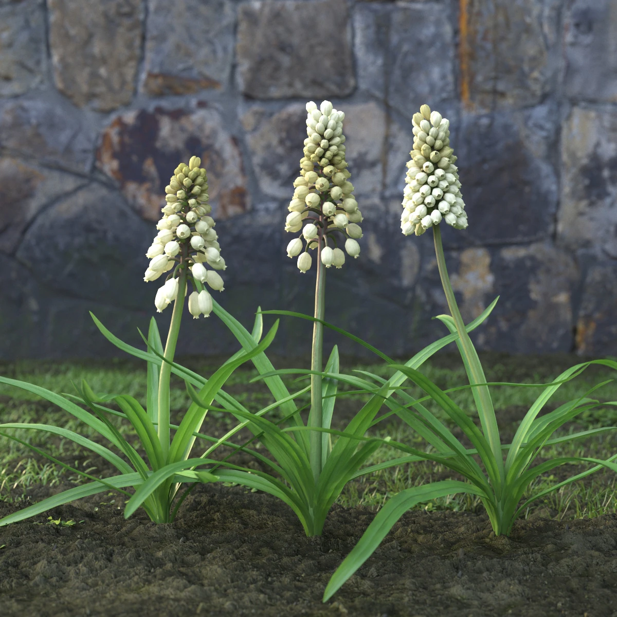 garden flowers 054 — Скачать
