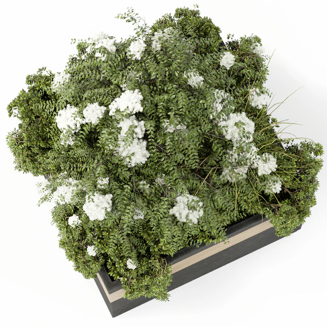 Outdoor Plant Set 02 — Скачать
