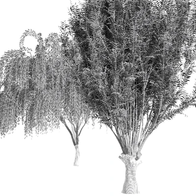 2tree-Pollard willow Weeping willow — Ver 4