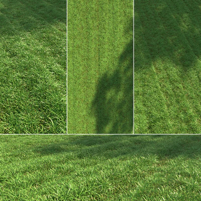 Regular grass — Ver 1
