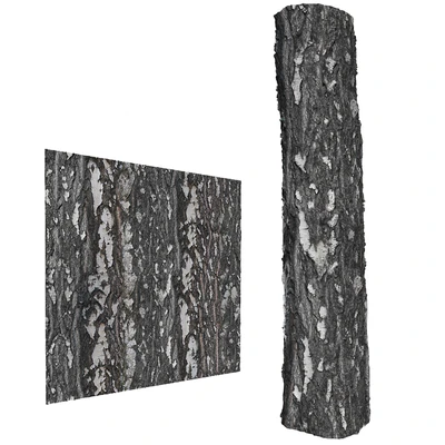 Birch bark — descargar