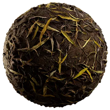dried leaves 018 — Скачать