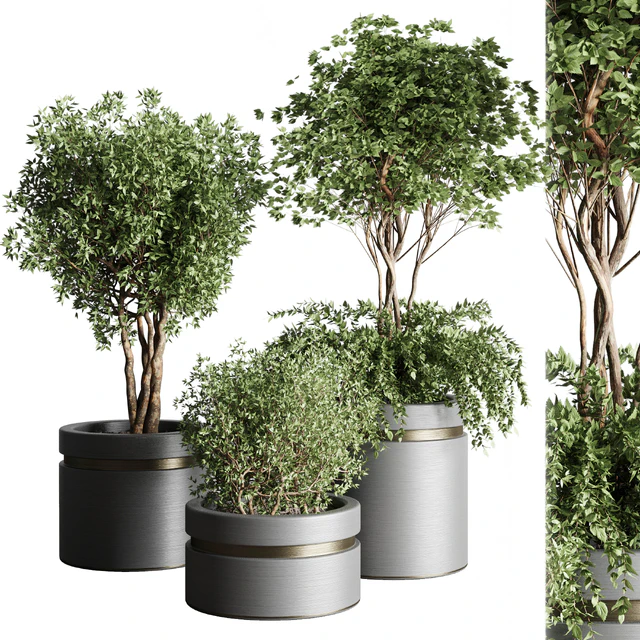 Tree pots and shrubs-bush collection 74 metal vase for outdoor indoor — Descargar