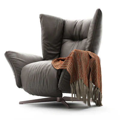 Armchair Natuzzi Tulip 3031 — View 1