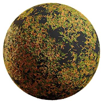 orange peel jessamine 001 — Descargar