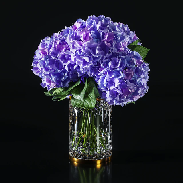 Hydrangea set 002 — Скачать