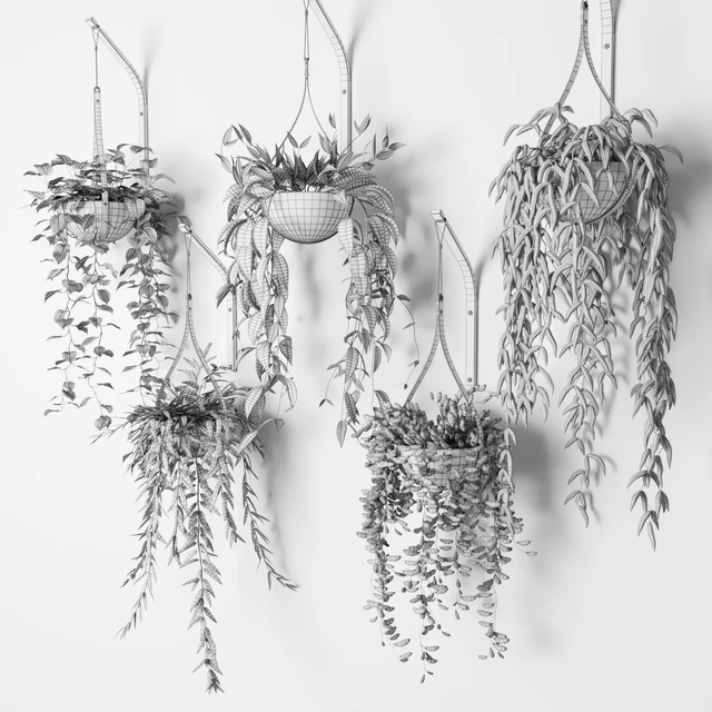 Ampelous plants in white hemispheres of pots — Descargar