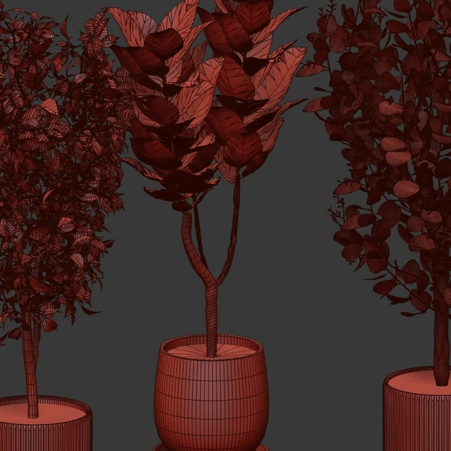 Houseplants set — Descargar