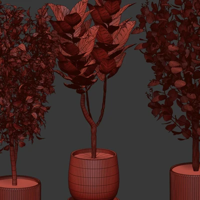 Houseplants set — Ver 5