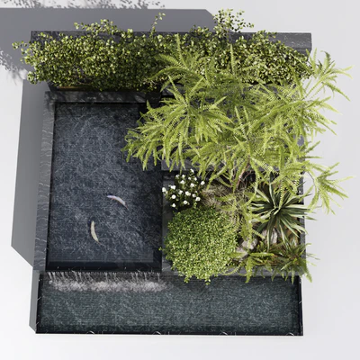 Water Ponds With Plants & fish — Вид 6