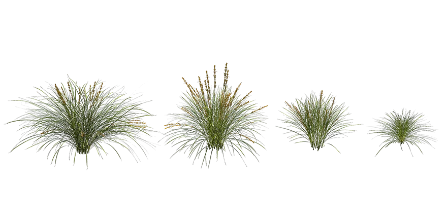 basket grass 001 — Descargar