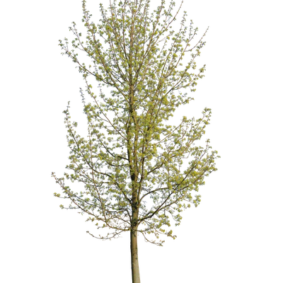 spring m 024 — Скачать