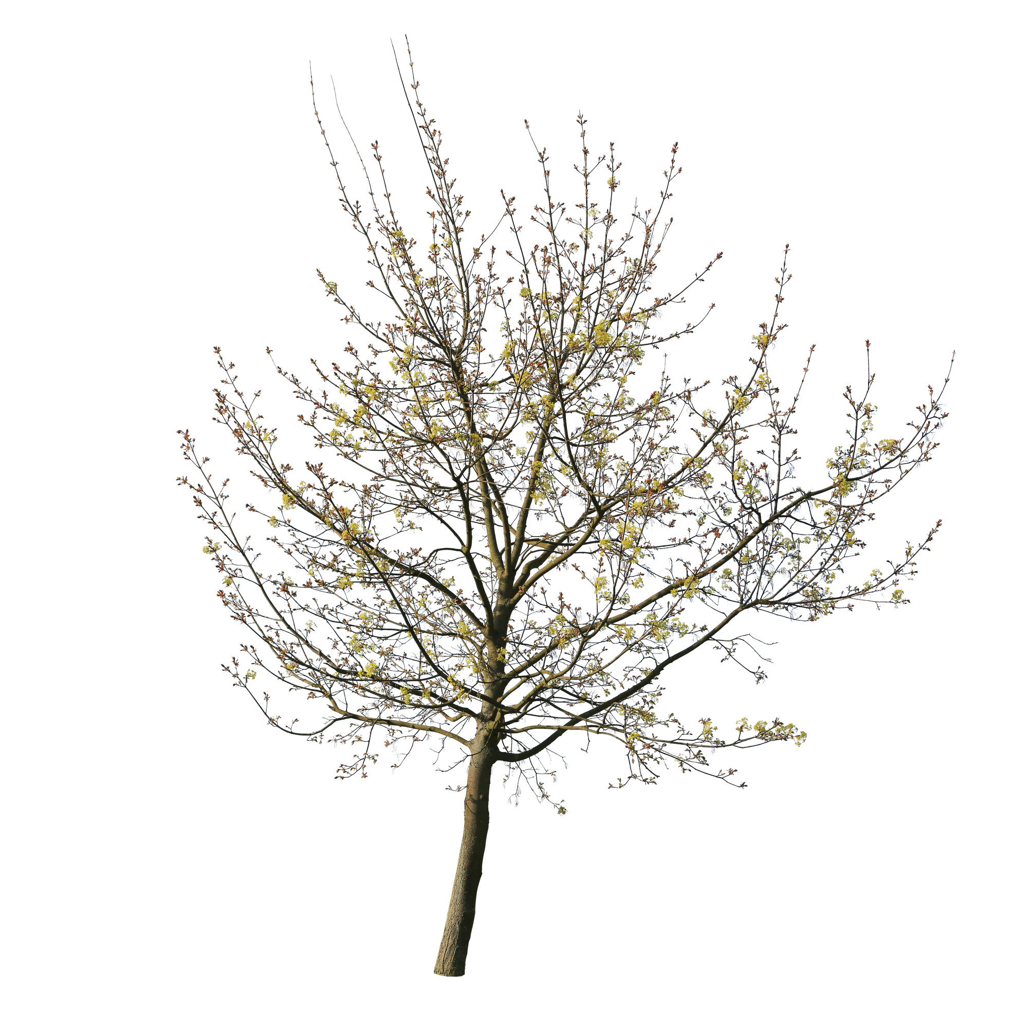 spring m 025 — Скачать