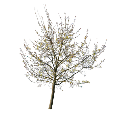 spring m 025 — Скачать
