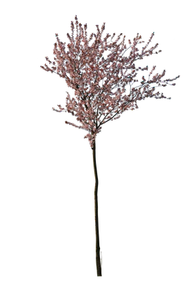 spring s 020 — Descargar