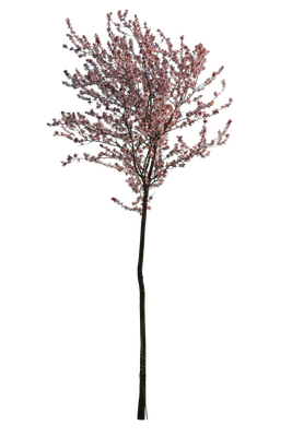 spring s 022 — Descargar