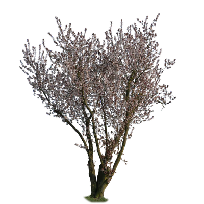 spring s 027 — Download