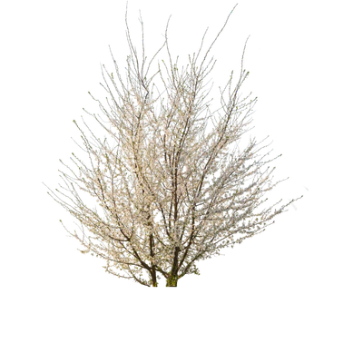 spring s 036 2 — Скачать
