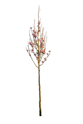 spring s 067 — Скачать