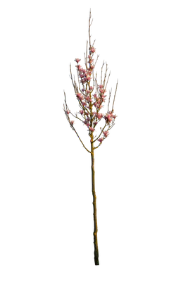 spring s 068 — Descargar