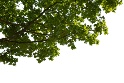 corner 003 — Download