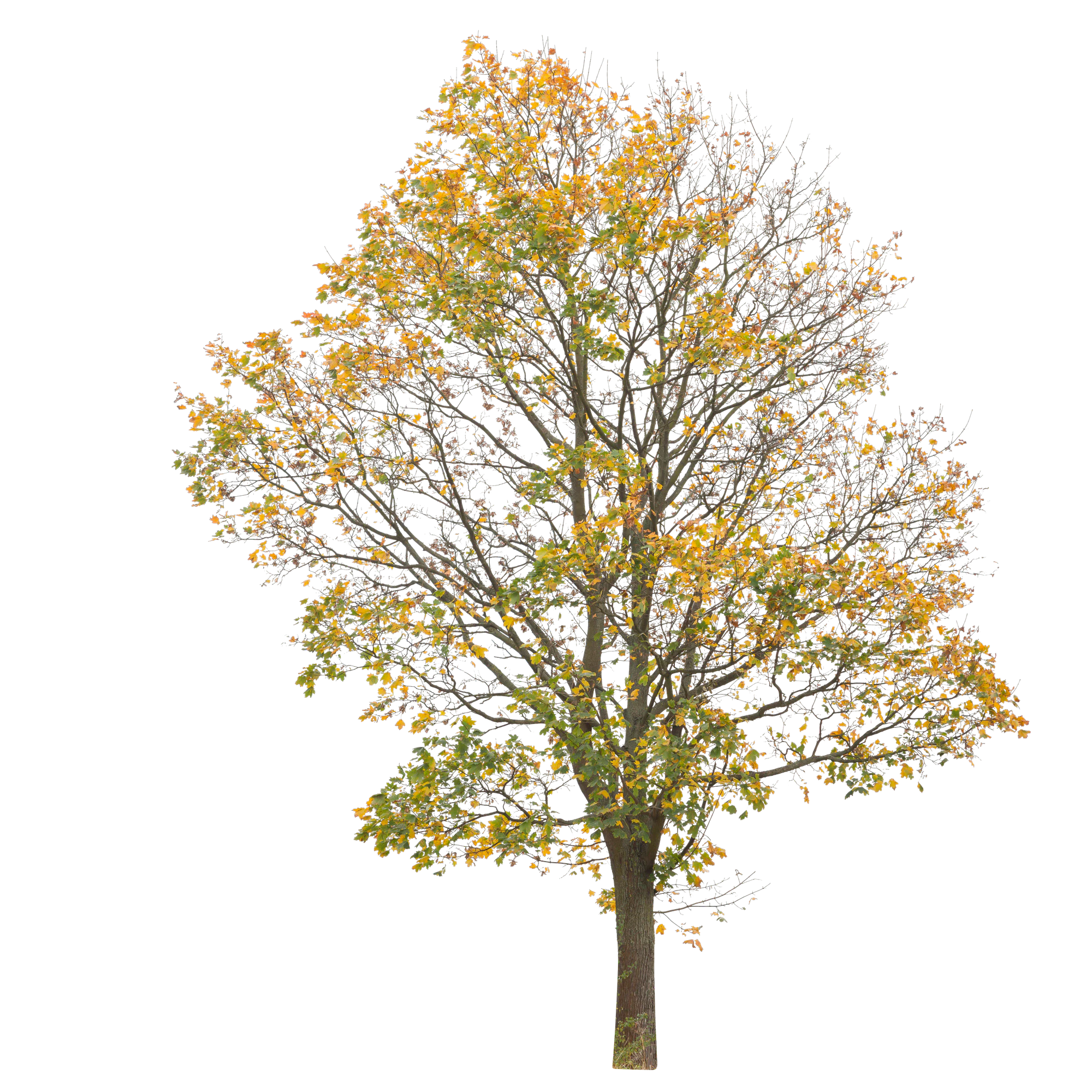 autumn 002 — Скачать