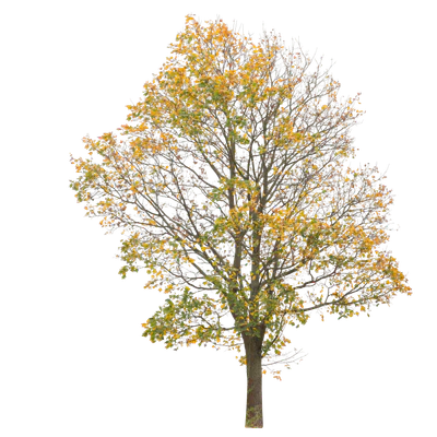 autumn 002 — Скачать