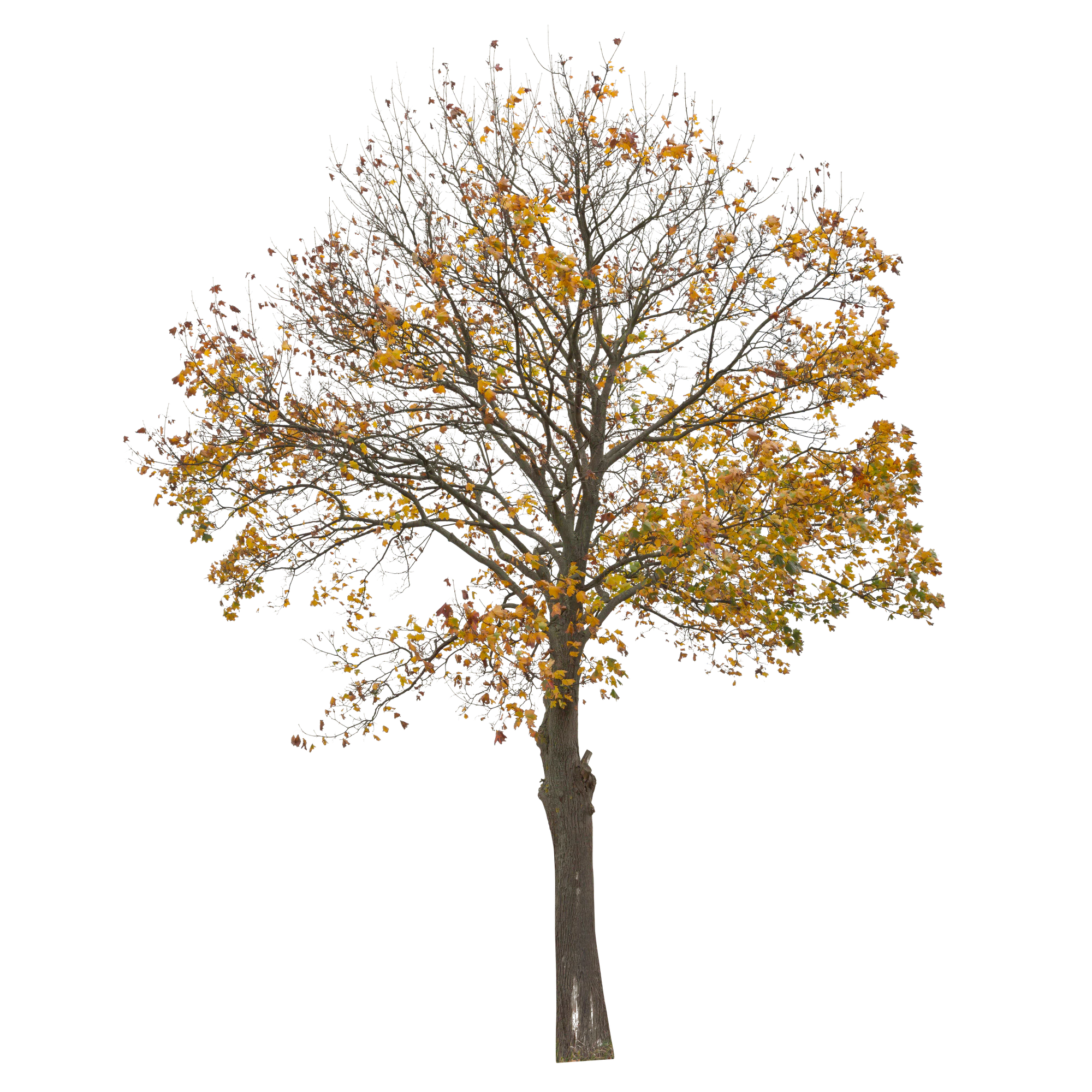 autumn 006 — Скачать