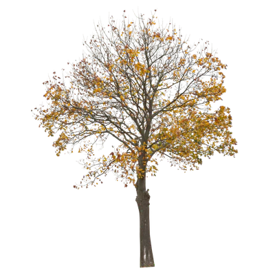 autumn 006 — Скачать