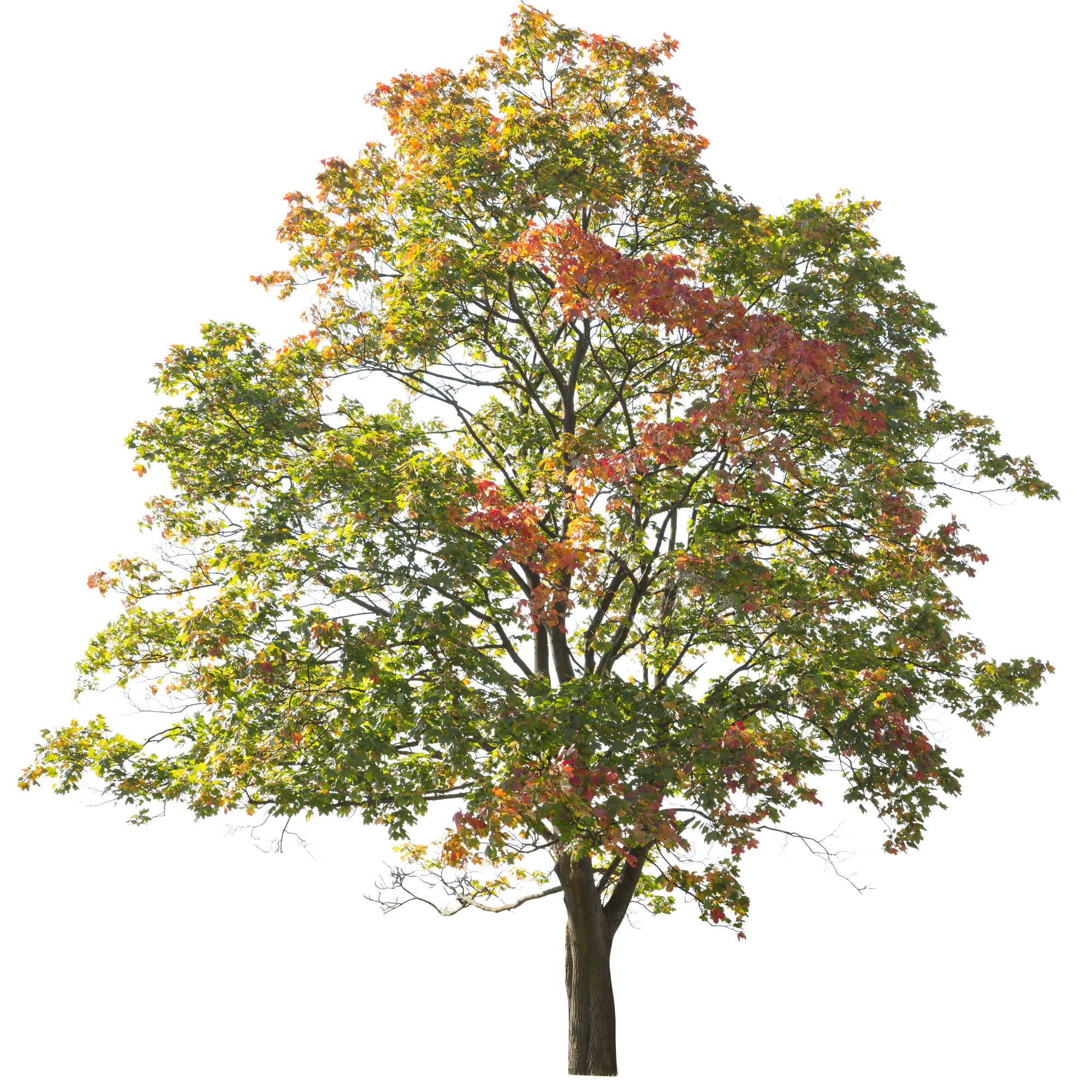 autumn 010 — Скачать