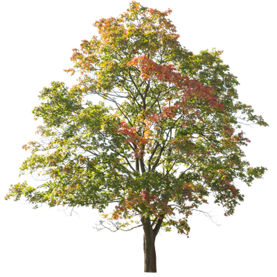 autumn 010 — Скачать