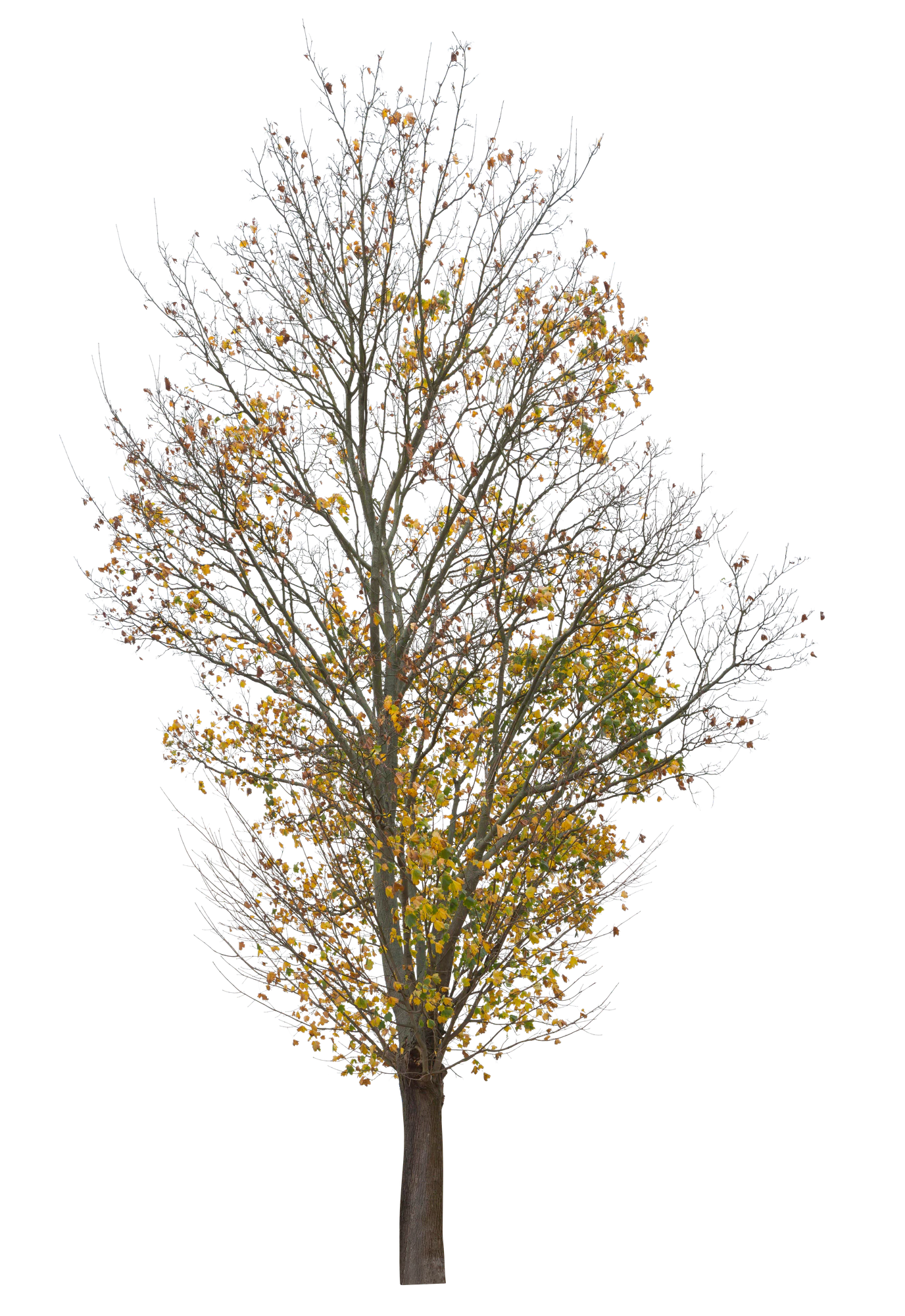 autumn 011 — Descargar