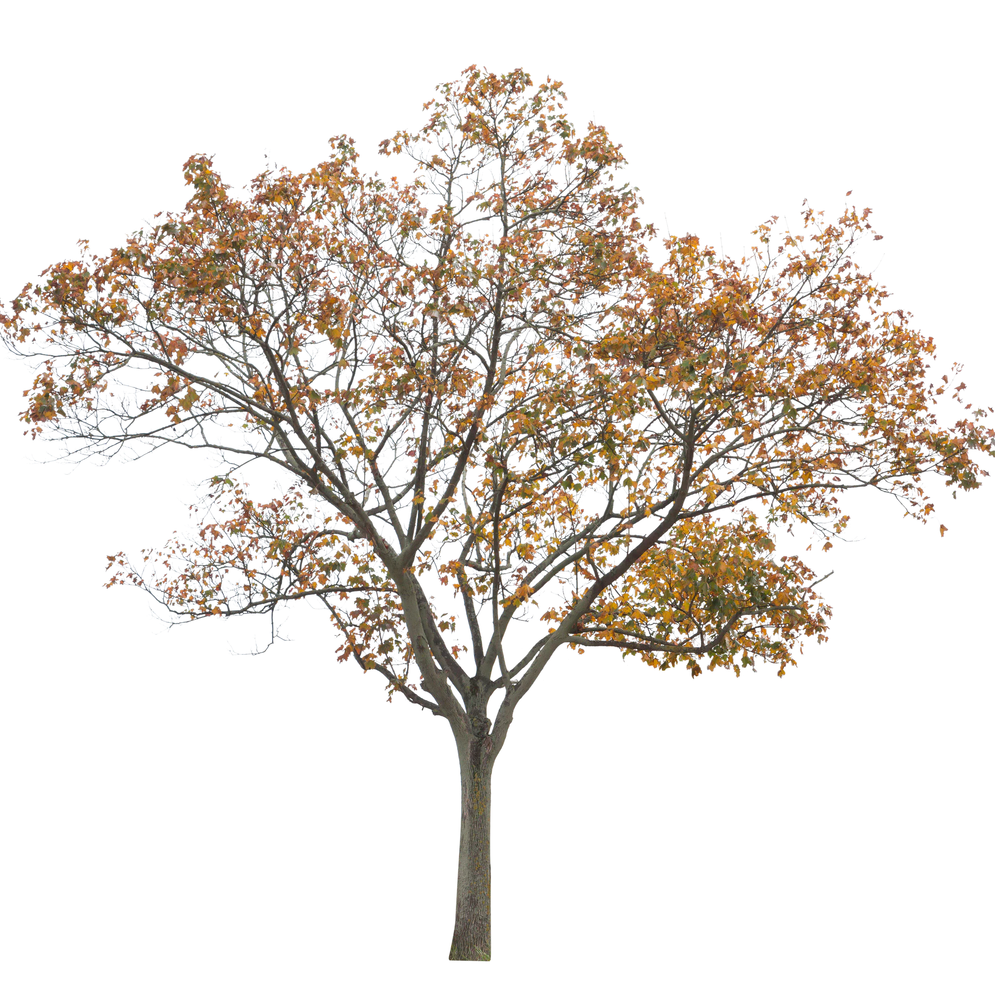 autumn 014 — Скачать
