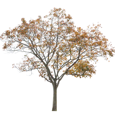 autumn 014 — Скачать