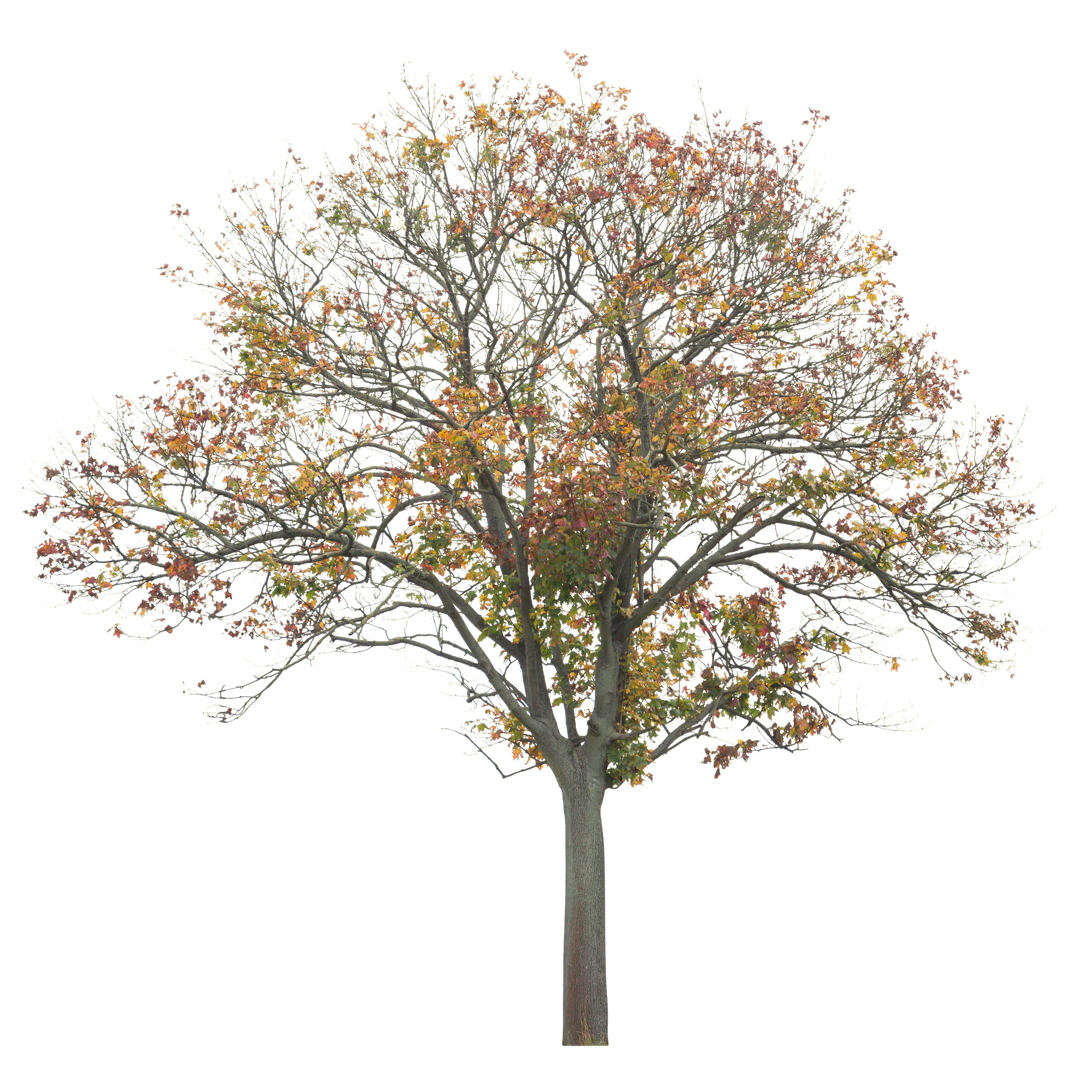 autumn 017 — Скачать