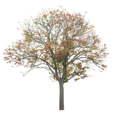 autumn 017 — Скачать