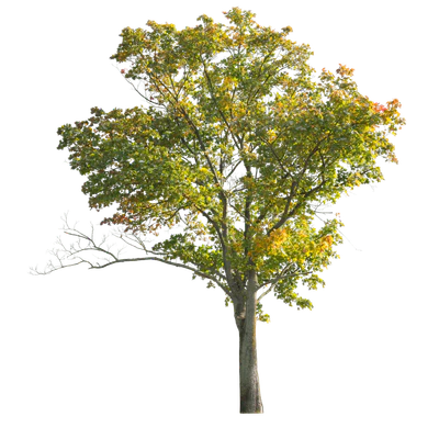 autumn 022 — Descargar