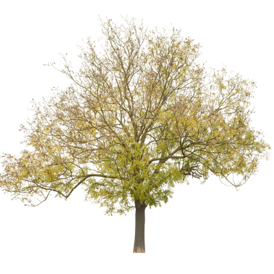 autumn 023 — Descargar