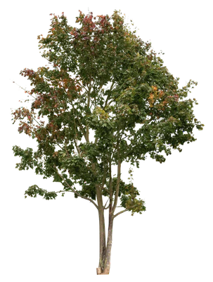 autumn 040 — Descargar