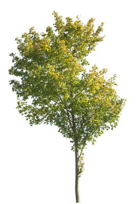 autumn 044 — Descargar